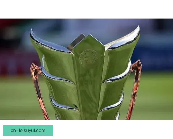 努贝尔评估自己世界杯机会的前景