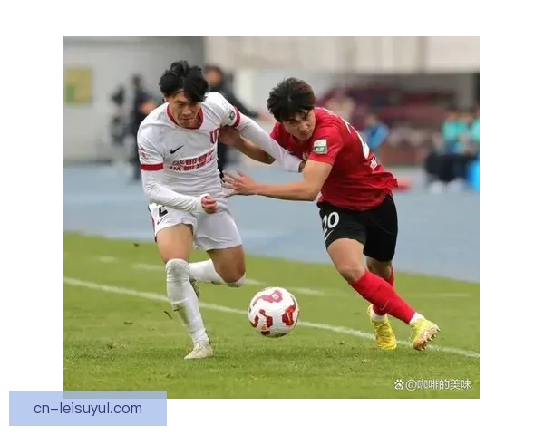 玄智健73万欧转会深圳新鹏城